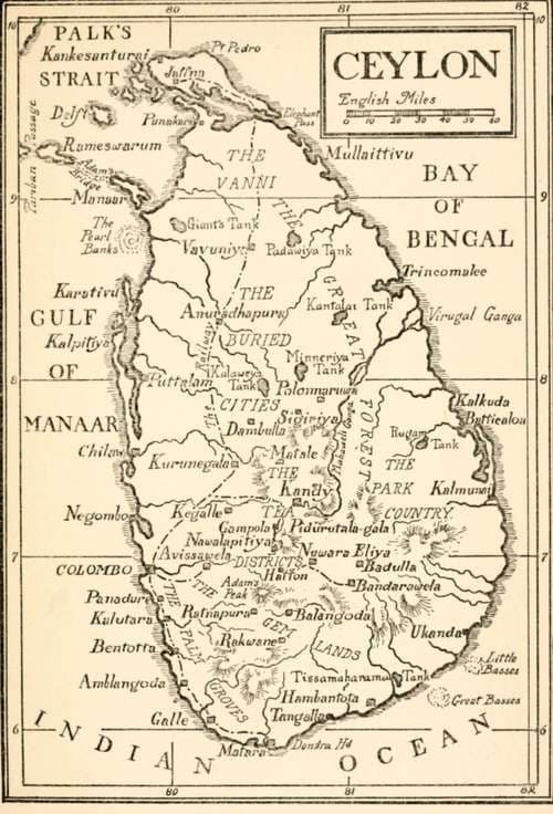 Vintage survey map of Ceylon